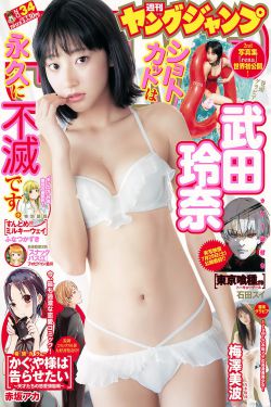 绣娘兰馨